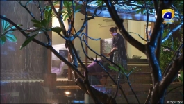 Mehroom - Last Episode - 6th Jun 2024